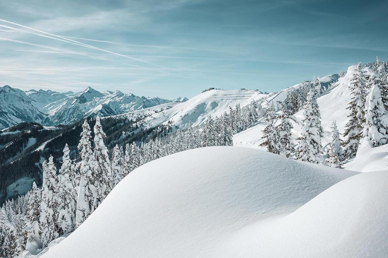 Appartement Haus Elise By We Rent, Summercard Included Zell am See Eksteriør bilde